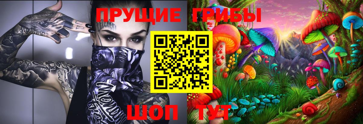 Псилоцибиновые грибы MAGIC MUSHROOMS  Псилоцибиновые грибы Psilocybine cubensis  Вход с VPN  как найти закладки  Пугачёв 